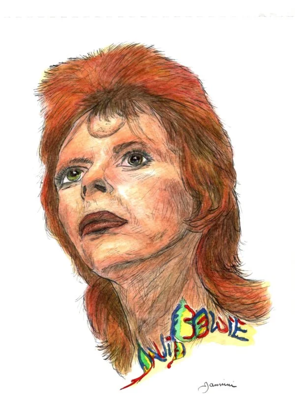 Davoid Bowie Rock Star Legend