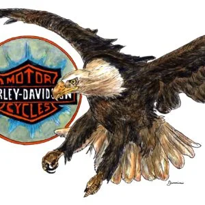 Harley-Davidson American Bald Eagle