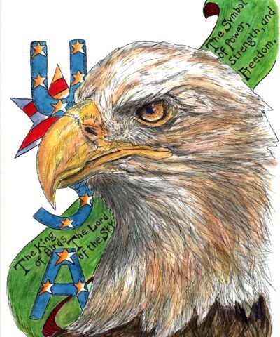USA American Bald Eagle